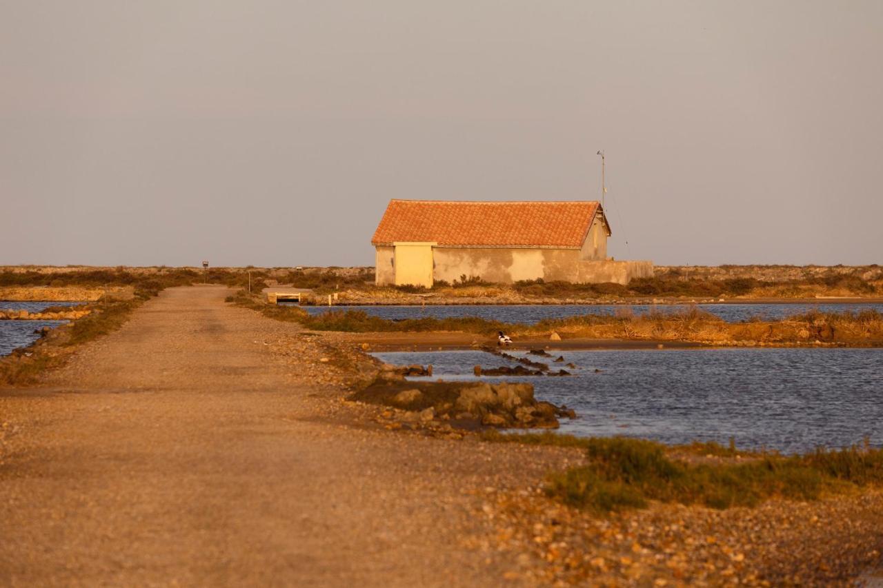 Vvf Narbonne-Plage Saint-Pierre-La-Mer Fleury  Extérieur photo